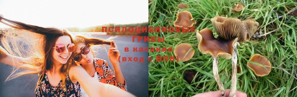 прущая мука Волоколамск