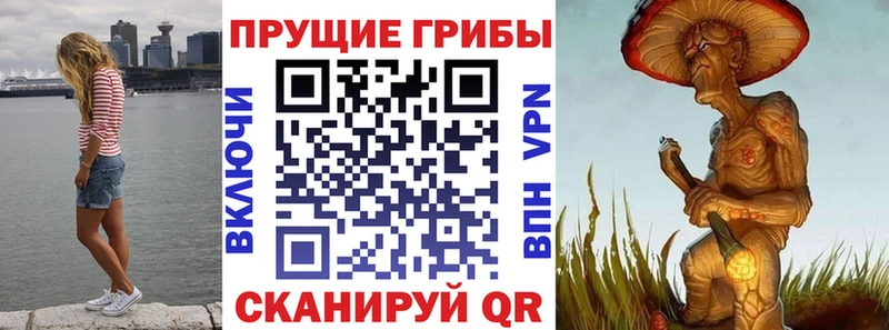 Купить закладки  Трубчевск  Галлюциногенные грибы Magic Shrooms 